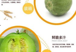 甜瓜脆瓜怎么吃,解锁夏日清新美味