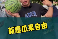 来新疆实现吃瓜自由,畅享“吃瓜自由”的甜蜜之旅