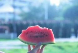 安静吃瓜怎么吃,探索安静吃瓜的乐趣与技巧