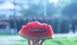 安静吃瓜怎么吃,探索安静吃瓜的乐趣与技巧