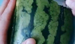 手工吃瓜,品味夏日清凉时光