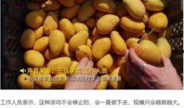 海南大学 吃瓜,趣味横生的校园生活剪影