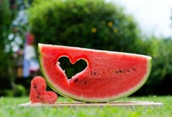 夏日吃瓜诗句,品读古风诗句中的清凉夏日