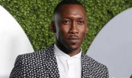 vince哥吃瓜网,揭秘娱乐圈幕后故事，带你领略明星真实生活