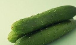 只吃瓜可以减肥,轻松享瘦——揭秘只吃瓜的神奇减肥法