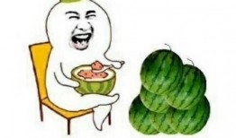 我也吃瓜下一句怎么会,网络热词背后的社会现象