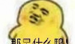 吃瓜大表情包,趣味横生的网络文化现象