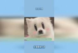 吃瓜小猫配音,揭秘娱乐圈那些事儿