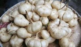 吃土吃瓜