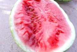 反差风吃瓜,揭秘娱乐圈的“冰火两重天”