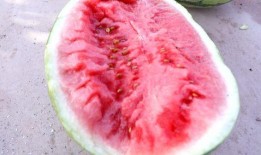 反差风吃瓜,揭秘娱乐圈的“冰火两重天”