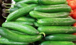 绿瓜可以吃吗,揭秘其可食用之谜