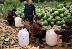 吃瓜群众的力量视频,揭秘网络视频传播背后的惊人效应
