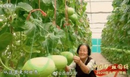 看同事的吃瓜,揭秘同事们的“吃瓜”瞬间