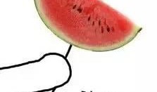 囫囵吃瓜,揭秘网络热议背后的真相与笑料