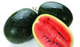 年前专业训练吃瓜,揭秘专业训练中的吃瓜趣事