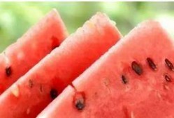 病人梦见吃瓜,揭秘病人梦见吃瓜的寓意