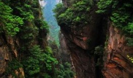 吃瓜张家界视频