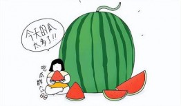 猛料吃瓜网,娱乐圈幕后真相大曝光！