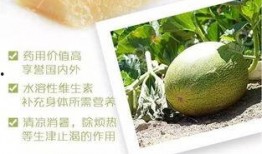 蜜瓜怎么吃最好吃,解锁最佳食用技巧