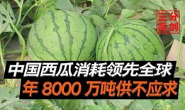 中国吃瓜视频,网络舆论场中的“瓜农”与“吃瓜群众”