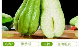 吃瓜博主洋瓜图片大全,吃瓜博主带你领略异国瓜果风采