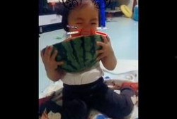 吃瓜搞笑小孩头像可爱,可爱小孩头像，萌化你的每一天