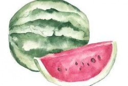 抱着瓜吃图像,品味夏日里的悠闲时光