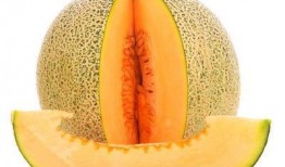 崴脚可以吃哈密瓜吗图片