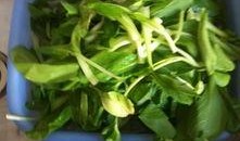 春天吃吊瓜好吗,吊瓜美食，健康美味两不误