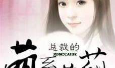 少女总裁吃瓜小说