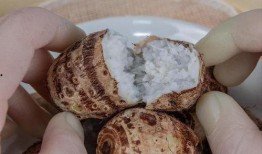 吃芋头反酸吃蒲瓜不会