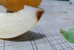吃哈密瓜对抽血有影响吗