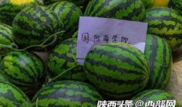 一群吃瓜,揭秘娱乐圈最新热点事件