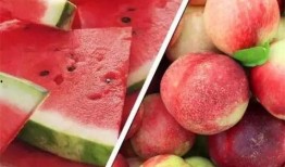 星不晓吃瓜,揭秘娱乐圈那些鲜为人知的幕后故事