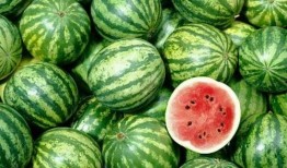 吃瓜业务即将开放,揭秘娱乐圈幕后风云