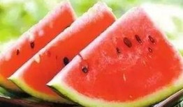 吃冰王瓜,冰王瓜的清凉诱惑