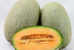 崴脚可以吃哈密瓜吗图片