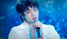 吃瓜群众华晨宇,吃瓜群众眼中的音乐奇才